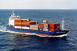 ЗАО Морской транспортный сервис Логотип(logo)