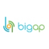 Логотип компании BigAp.ru — интернет-магазин электроники и бытовой техники