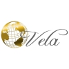 Веб студия Vela Логотип(logo)