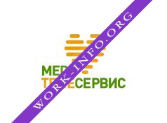 Медтелесервис Логотип(logo)
