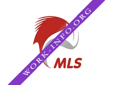 Логотип компании MLS IT Systems