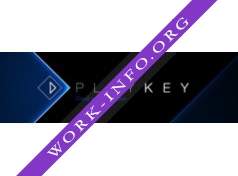 Playkey Логотип(logo)