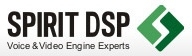 Логотип компании Spirit DSP
