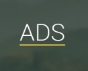 Логотип компании ADS group