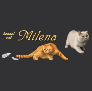 Логотип компании Питомник Милена (Milena)