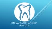 Логотип компании Стоматологическая клиника Камелия