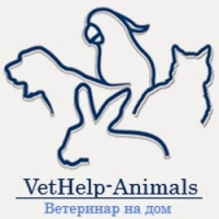 Логотип компании Ветеринарный кабинет Vethelp Animals
