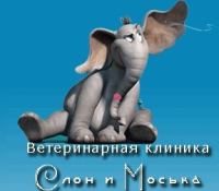 Ветеринарная клиника Слон и Моська Логотип(logo)