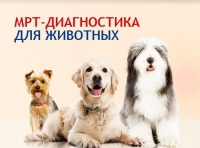 Логотип компании Первая Ветеринарная Лаборатория МРТ