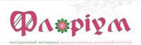 Интернет магазин цветов Флориум Логотип(logo)