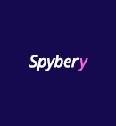 Spybery.pro Логотип(logo)