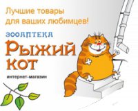 Рыжий Кот. Интернет-зоомагазин Логотип(logo)
