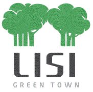 Логотип компании Lisi Development