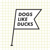 Логотип компании Dogs Like Ducks