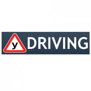 Автошкола DRIVING (Драйвинг) Логотип(logo)