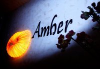 Ресторан AMBER (Амбер) Логотип(logo)