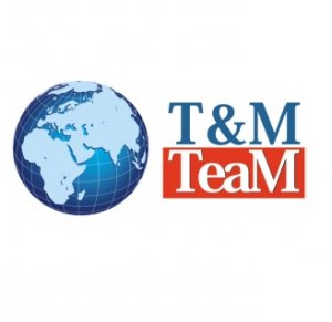 Компания T&M Team Логотип(logo)