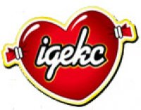 Логотип компании Идекс