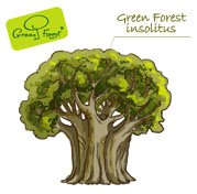 Логотип компании Green Forest