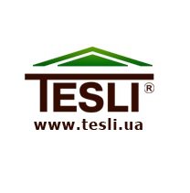 Компания Tesli Логотип(logo)
