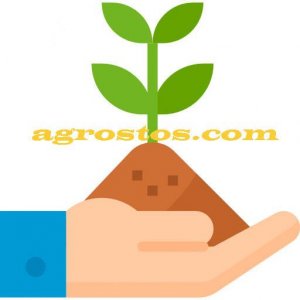 Магазин семян и химикатов Агростос Логотип(logo)