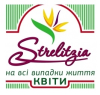 Логотип компании Strelitzia-flowers магазин цветов