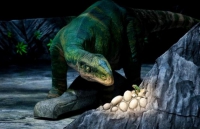 Логотип компании Выставка динозавров на ВДНХ