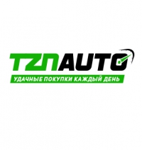 Логотип компании TznAuto интернет-магазин