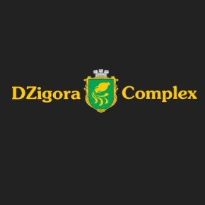 СТО DZigora Complex Логотип(logo)