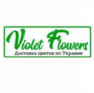 Логотип компании Violet Flowers Доставка Цветов (Запорожье, Днепр, Харьков)