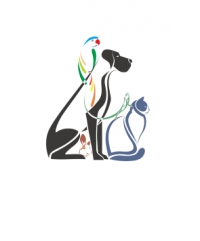 Логотип компании Animal-shop.com.ua