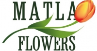 Matla-flowers.com.ua Логотип(logo)