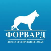Логотип компании Сайт дрессировки собак dog-forward