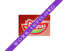 Логотип компании Пинхас