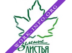 Зеленые листья ГК Логотип(logo)