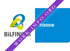 Tebodin, Екатеринбург Логотип(logo)