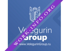 Velegurin Group Логотип(logo)