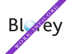 Блорэй Логотип(logo)
