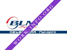 Логотип компании БЛМ Синержи