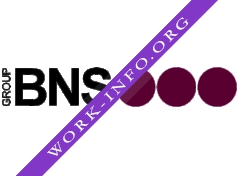 БНС Груп (BNS Group) Логотип(logo)