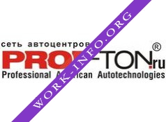 Логотип компании Prof-ton