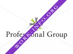 PROFESSIONALgroup Логотип(logo)