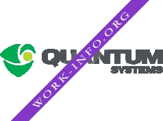 Quantum Systems Логотип(logo)