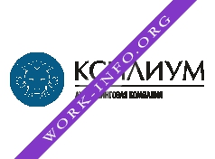 Логотип компании Аутсорсинговая компания КСИЛИУМ-КОНСАЛТИНГ
