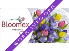 Логотип компании Bloomex Company Group