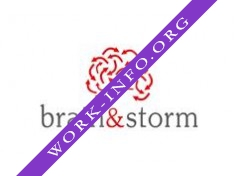 Brain & Storm Inc. Логотип(logo)