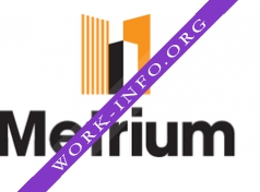 Метриум консалтинг Логотип(logo)