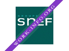 SNEF Логотип(logo)