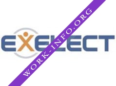 Кадровое агентство Exelect (ИП Баландин М.Ю.) Логотип(logo)