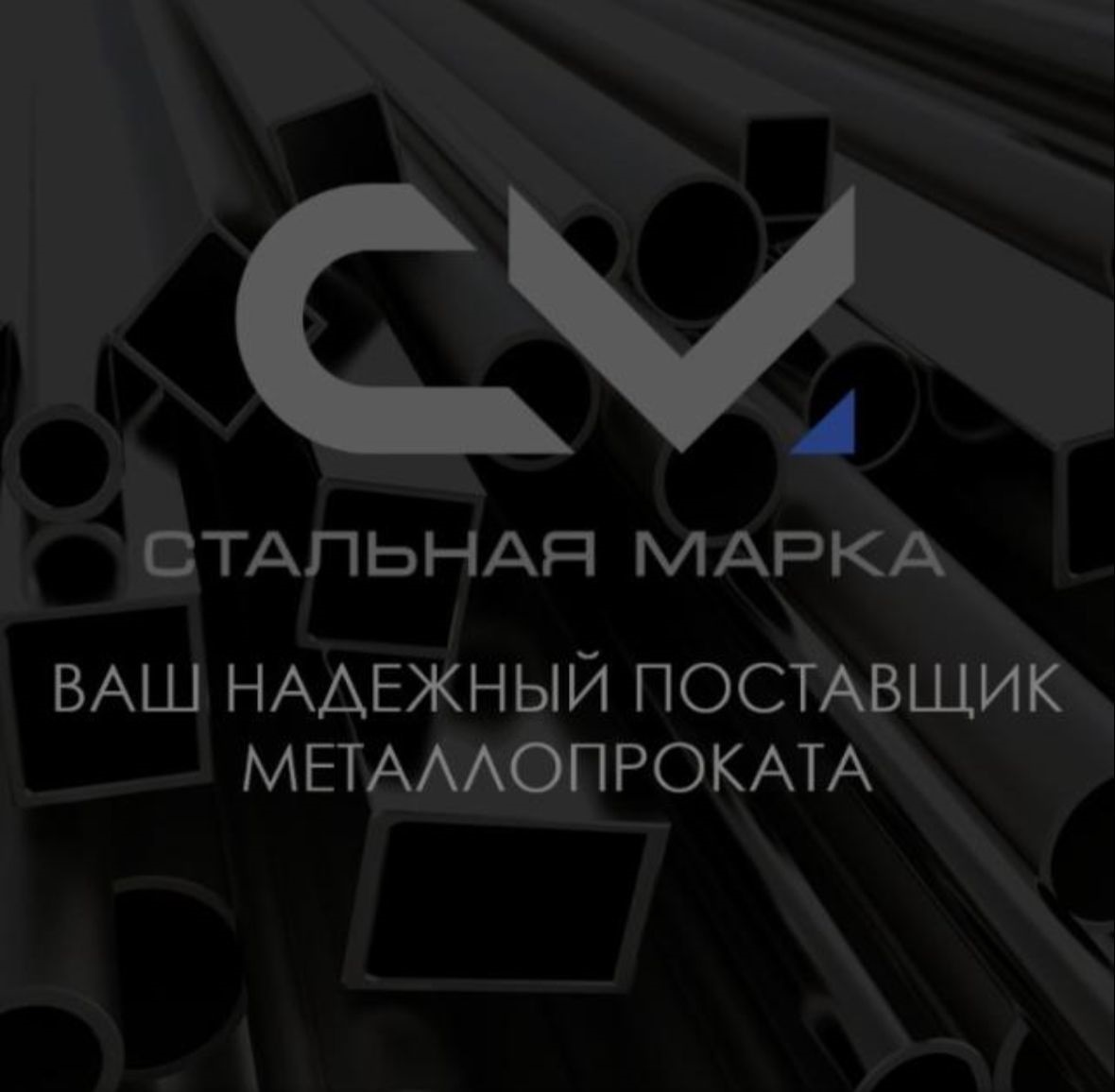 Логотип компании ТОО Стальная Марка